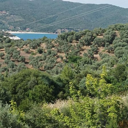 Art Hotel Panorama Pyrgadikia Extérieur photo